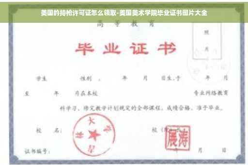 美国的持枪许可证怎么领取-美国美术学院毕业证书图片大全
