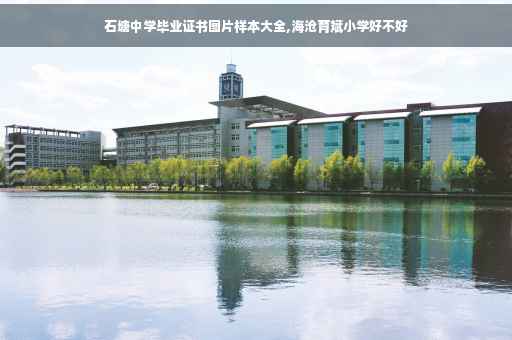 石塘中学毕业证书图片样本大全,海沧育斌小学好不好 石塘中学毕业证书图片样本大全,海沧育斌小学好不好