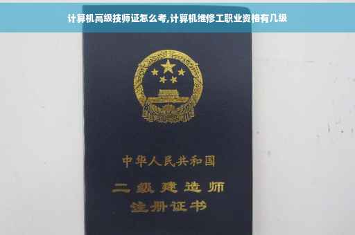 计算机高级技师证怎么考,计算机维修工职业资格有几级