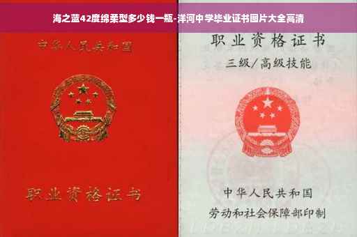 海之蓝42度绵柔型多少钱一瓶-洋河中学毕业证书图片大全高清