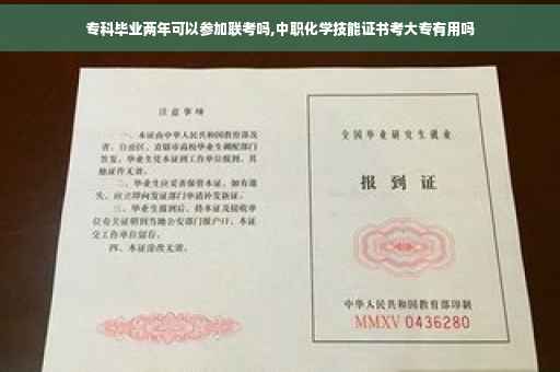 专科毕业两年可以参加联考吗,中职化学技能证书考大专有用吗