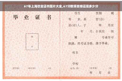 67年上海毕业证书图片大全,67分教师资格证是多少分