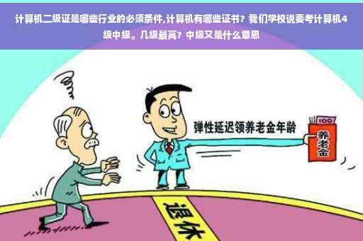 计算机二级证是哪些行业的必须条件,计算机有哪些证书？我们学校说要考计算机4级中级。几级最高？中级又是什么意思