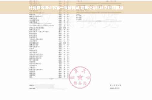 计算机等级证书哪一级最有用,哪些计算机证书比较有用