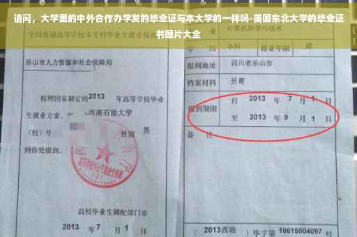 请问，大学里的中外合作办学发的毕业证与本大学的一样吗-美国东北大学的毕业证书图片大全