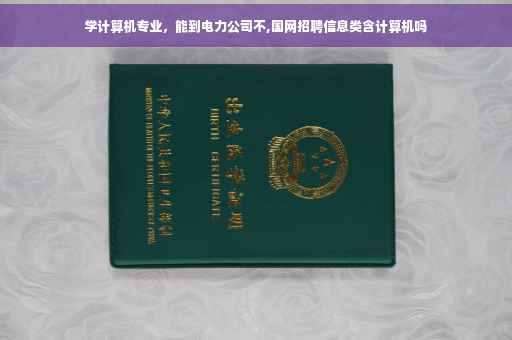 学计算机专业，能到电力公司不,国网招聘信息类含计算机吗