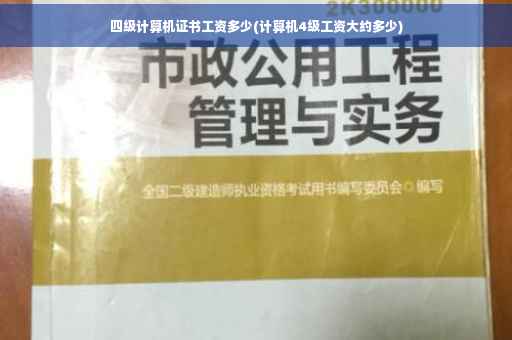 四级计算机证书工资多少(计算机4级工资大约多少)