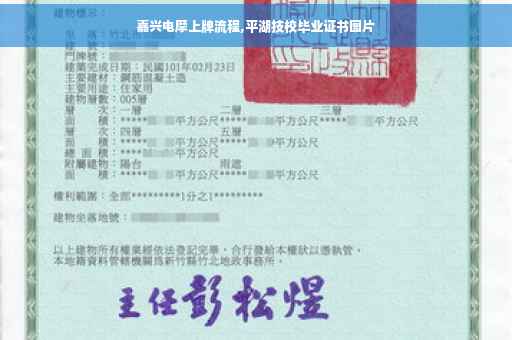 嘉兴电摩上牌流程,平湖技校毕业证书图片