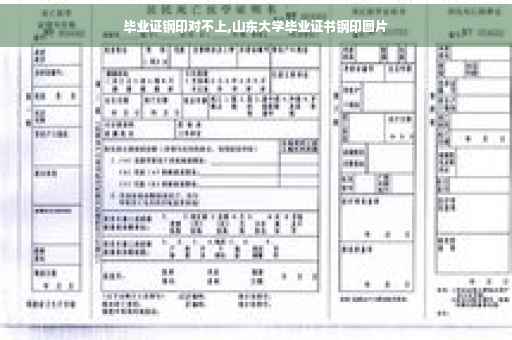 毕业证钢印对不上,山东大学毕业证书钢印图片