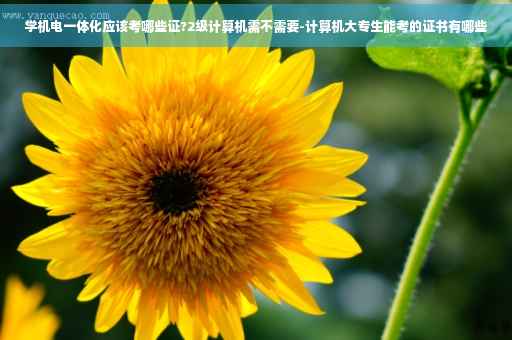 学机电一体化应该考哪些证?2级计算机需不需要-计算机大专生能考的证书有哪些