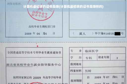 计算机最初级的证书是啥(计算机最初级的证书是啥样的)