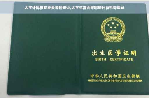 大学计算机专业要考哪些证,大学生需要考哪些计算机等级证