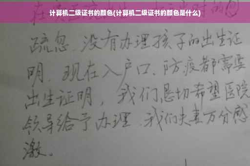 计算机二级证书的颜色(计算机二级证书的颜色是什么)
