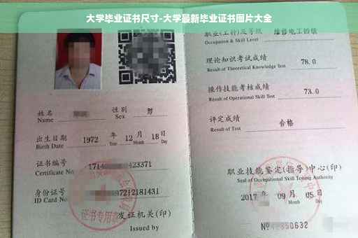 大学毕业证书尺寸-大学最新毕业证书图片大全