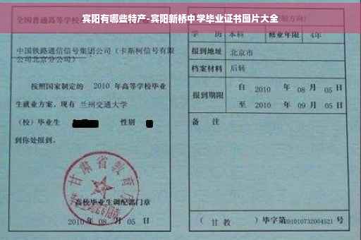宾阳有哪些特产-宾阳新桥中学毕业证书图片大全