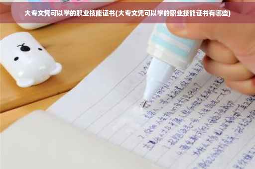 大专文凭可以学的职业技能证书(大专文凭可以学的职业技能证书有哪些)