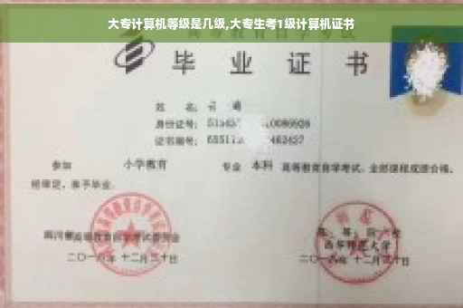 大专计算机等级是几级,大专生考1级计算机证书