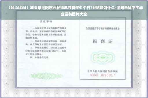 【急!急!急!】汕头市潮阳市西胪镇总共有多少个村?分别是叫什么-潮阳西凤中学毕业证书图片大全