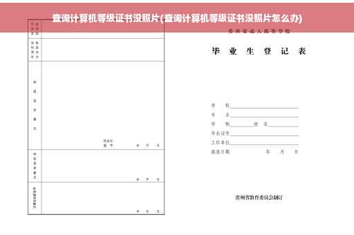 查询计算机等级证书没照片(查询计算机等级证书没照片怎么办)