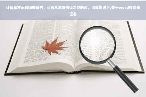 计算机方面有哪些证书，可有从业资格证之类的么，请详细说下,关于word有哪些证书