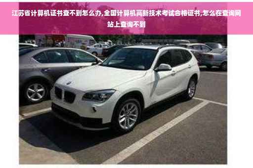 江苏省计算机证书查不到怎么办,全国计算机高新技术考试合格证书,怎么在查询网站上查询不到