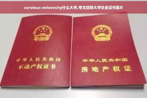 corvinus vnivevsity什么大学,考文纽斯大学毕业证书图片