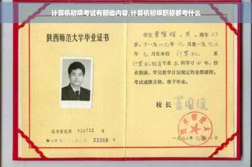 计算机初级考试有那些内容,计算机初级职称都考什么