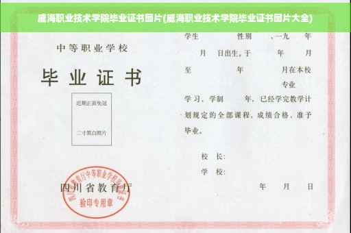 威海职业技术学院毕业证书图片(威海职业技术学院毕业证书图片大全)