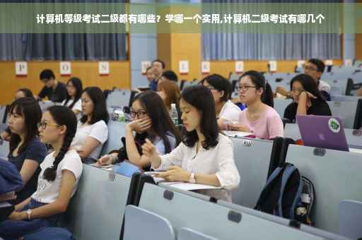 计算机等级考试二级都有哪些？学哪一个实用,计算机二级考试有哪几个