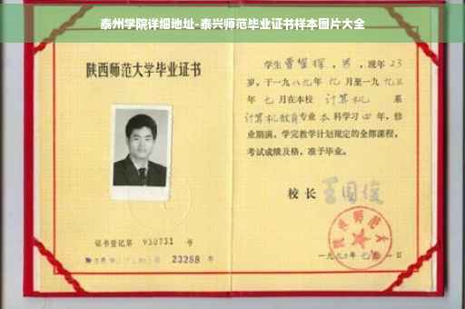 泰州学院详细地址-泰兴师范毕业证书样本图片大全