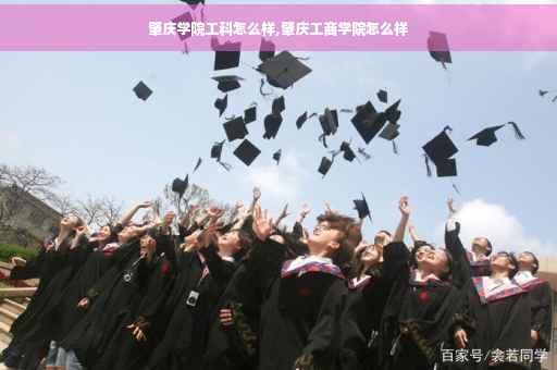 肇庆学院工科怎么样,肇庆工商学院怎么样