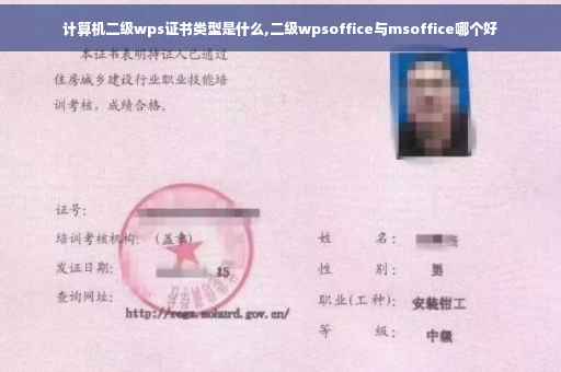 计算机二级wps证书类型是什么,二级wpsoffice与msoffice哪个好