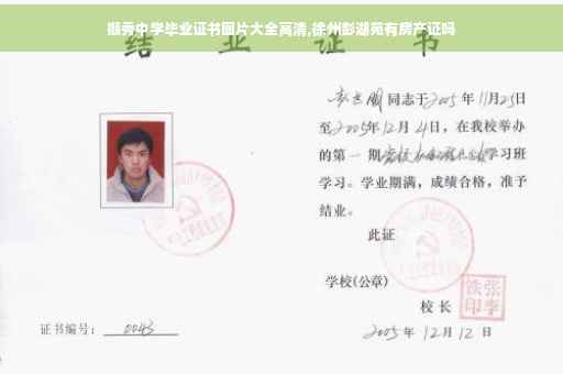 撷秀中学毕业证书图片大全高清,徐州彭湖苑有房产证吗