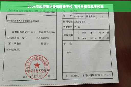 2023专科征集补录有哪些学校,飞行员有专科学校吗