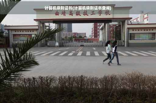 计算机级别证书(计算机级别证书查询)