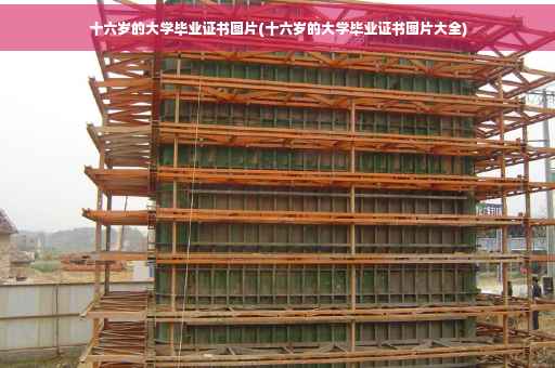 十六岁的大学毕业证书图片(十六岁的大学毕业证书图片大全)