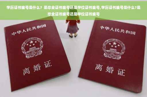 学历证书编号是什么？是毕业证书编号还是学位证书编号,学历证书编号是什么?是毕业证书编号还是学位证书编号