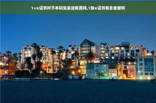1+x证书对于本科生来说有用吗,1加x证书有含金量吗