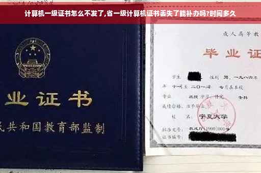 计算机一级证书怎么不发了,省一级计算机证书丢失了能补办吗?时间多久