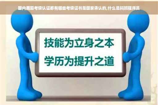 国内舞蹈考级认证都有哪些考级证书是国家承认的,什么是科班程序员