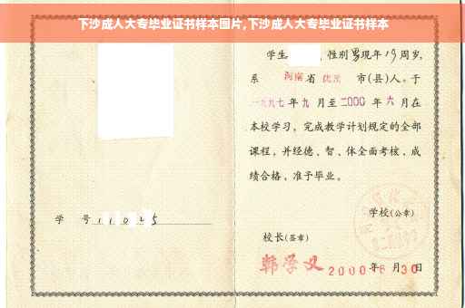 下沙成人大专毕业证书样本图片,下沙成人大专毕业证书样本