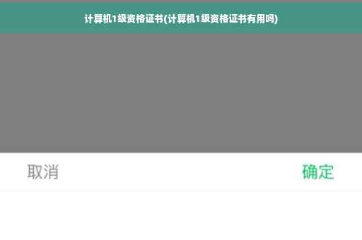 计算机1级资格证书(计算机1级资格证书有用吗)