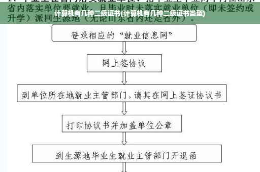 计算机有几种二级证书(计算机有几种二级证书类型)