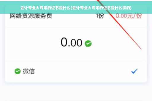 会计专业大专考的证书是什么(会计专业大专考的证书是什么样的)