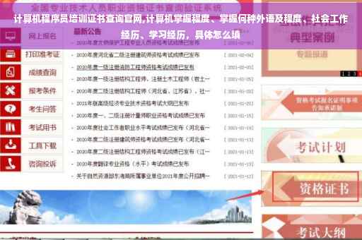 计算机程序员培训证书查询官网,计算机掌握程度、掌握何种外语及程度、社会工作经历、学习经历，具体怎么填