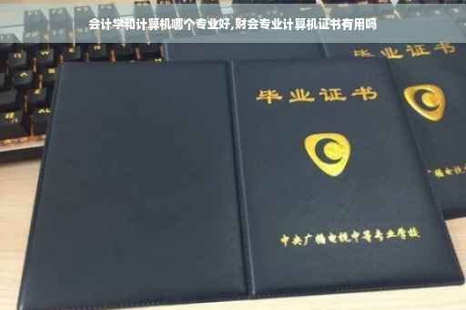 会计学和计算机哪个专业好,财会专业计算机证书有用吗