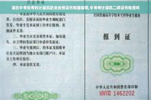 适合中专生考的计算机职业资格证书有哪些呢,中专考计算机二级证书有用吗