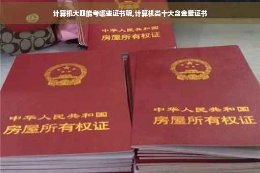 计算机大四能考哪些证书呢,计算机类十大含金量证书