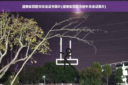 湖南省邵阳市毕业证书图片(湖南省邵阳市初中毕业证图片)