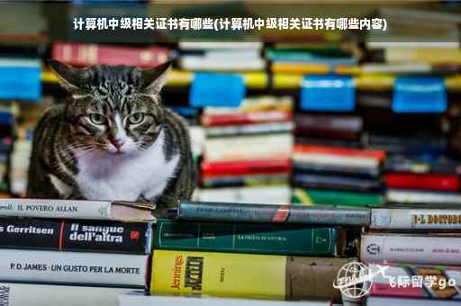 计算机中级相关证书有哪些(计算机中级相关证书有哪些内容)